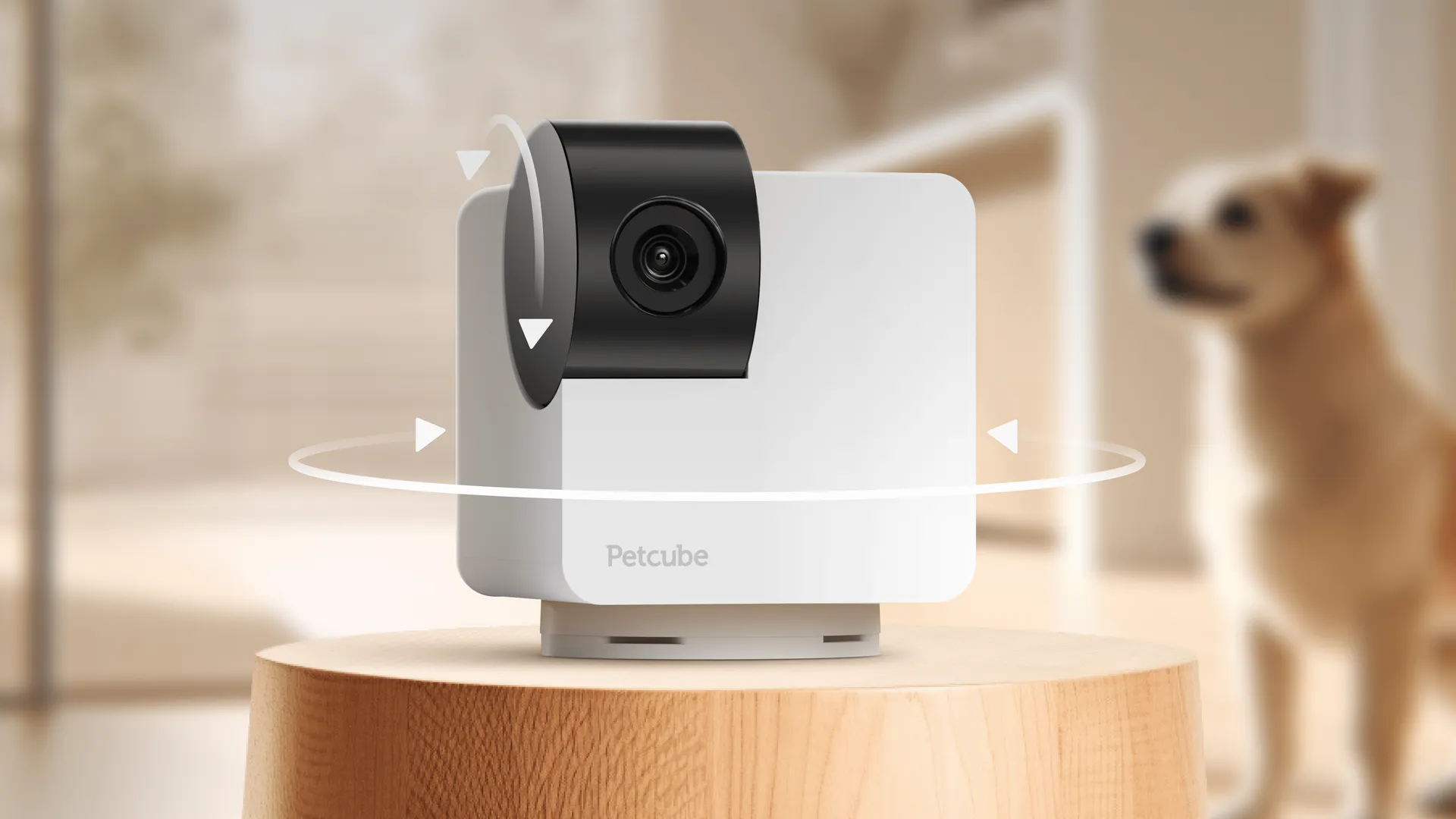 White Petcube Cam 360 camera on a shelf in a living room