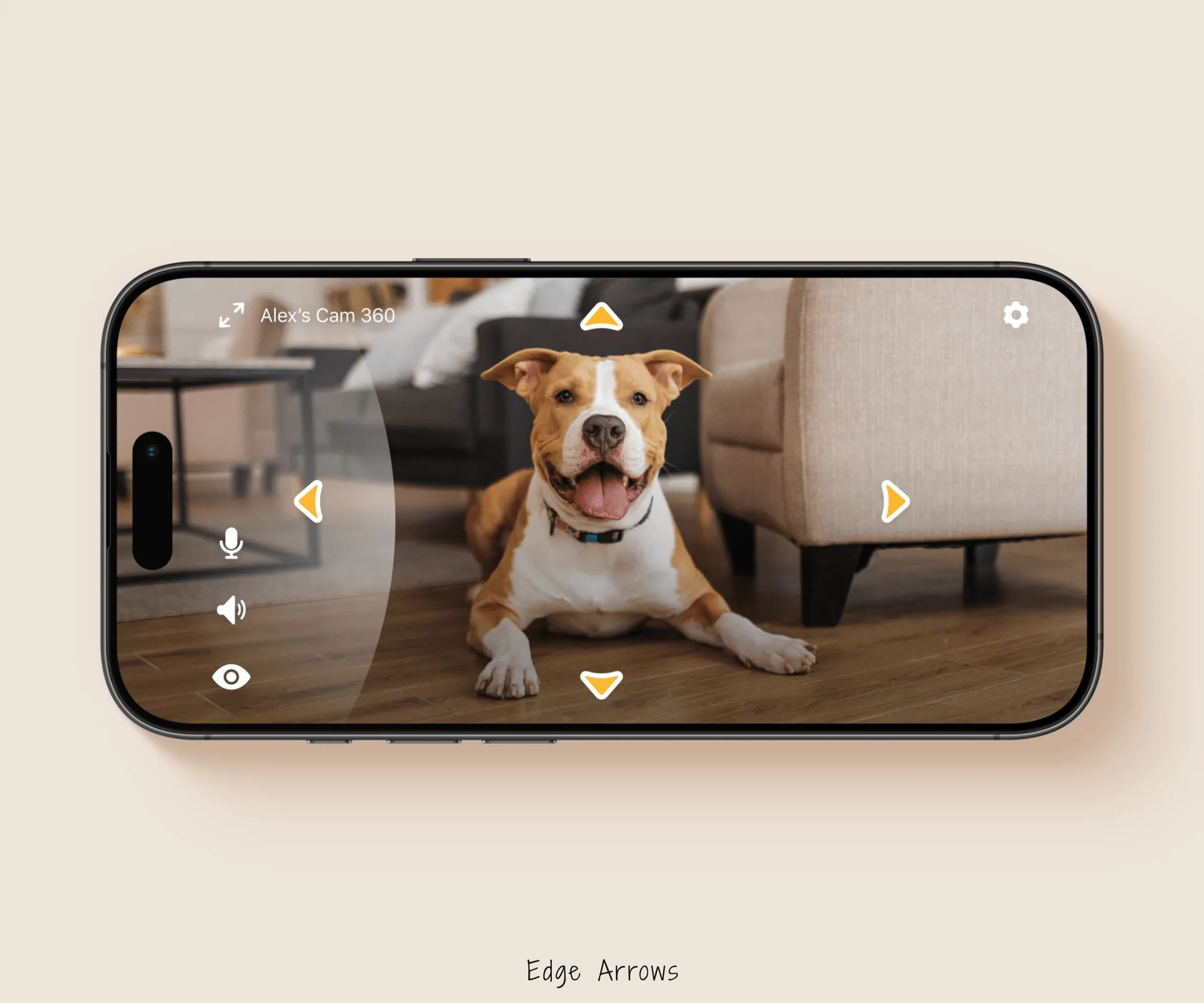 Pan-tilt edge arrows control prototype