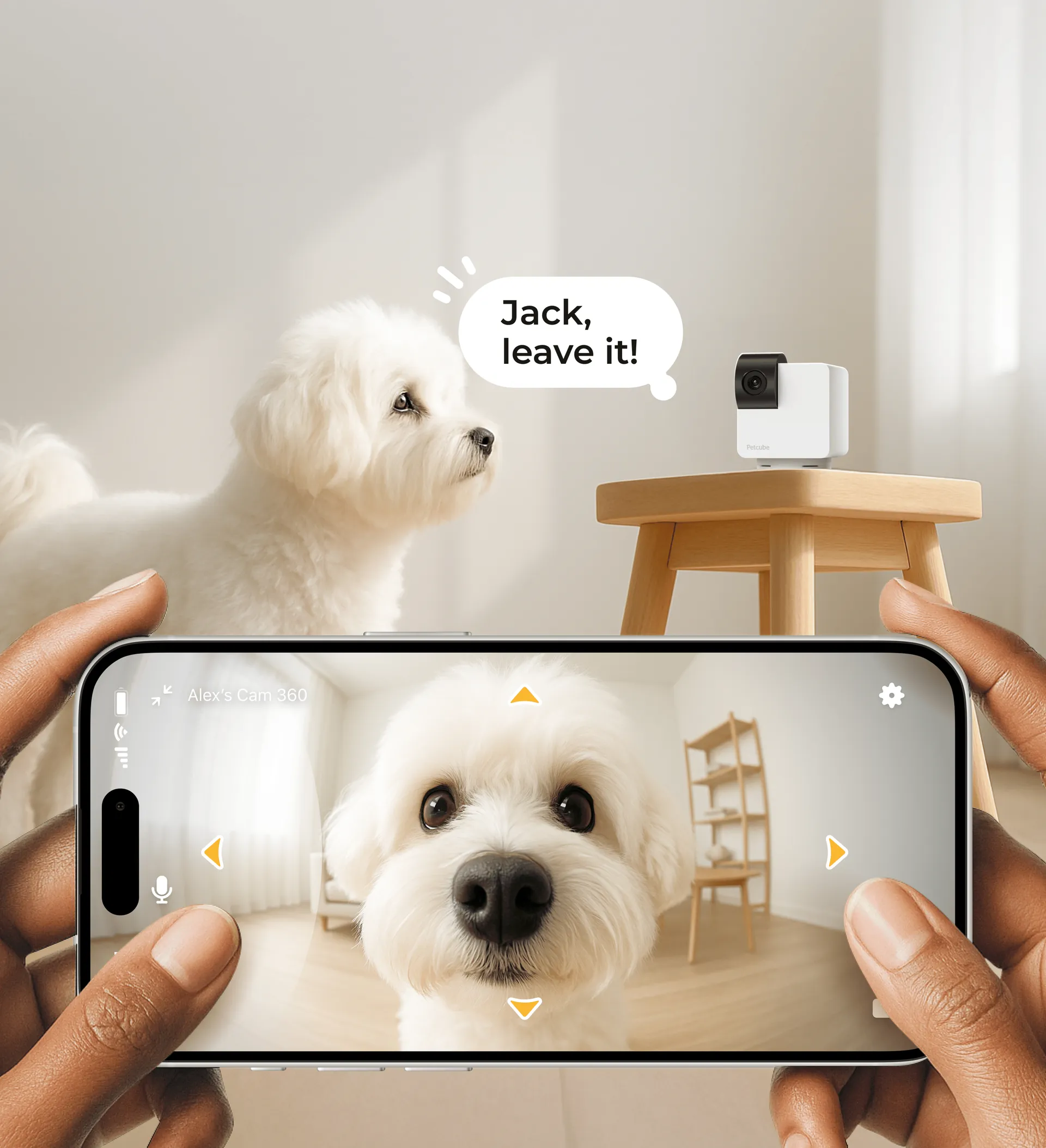 Telling Jack the dog to leave it through the Cam 360 app's pan-tilt view