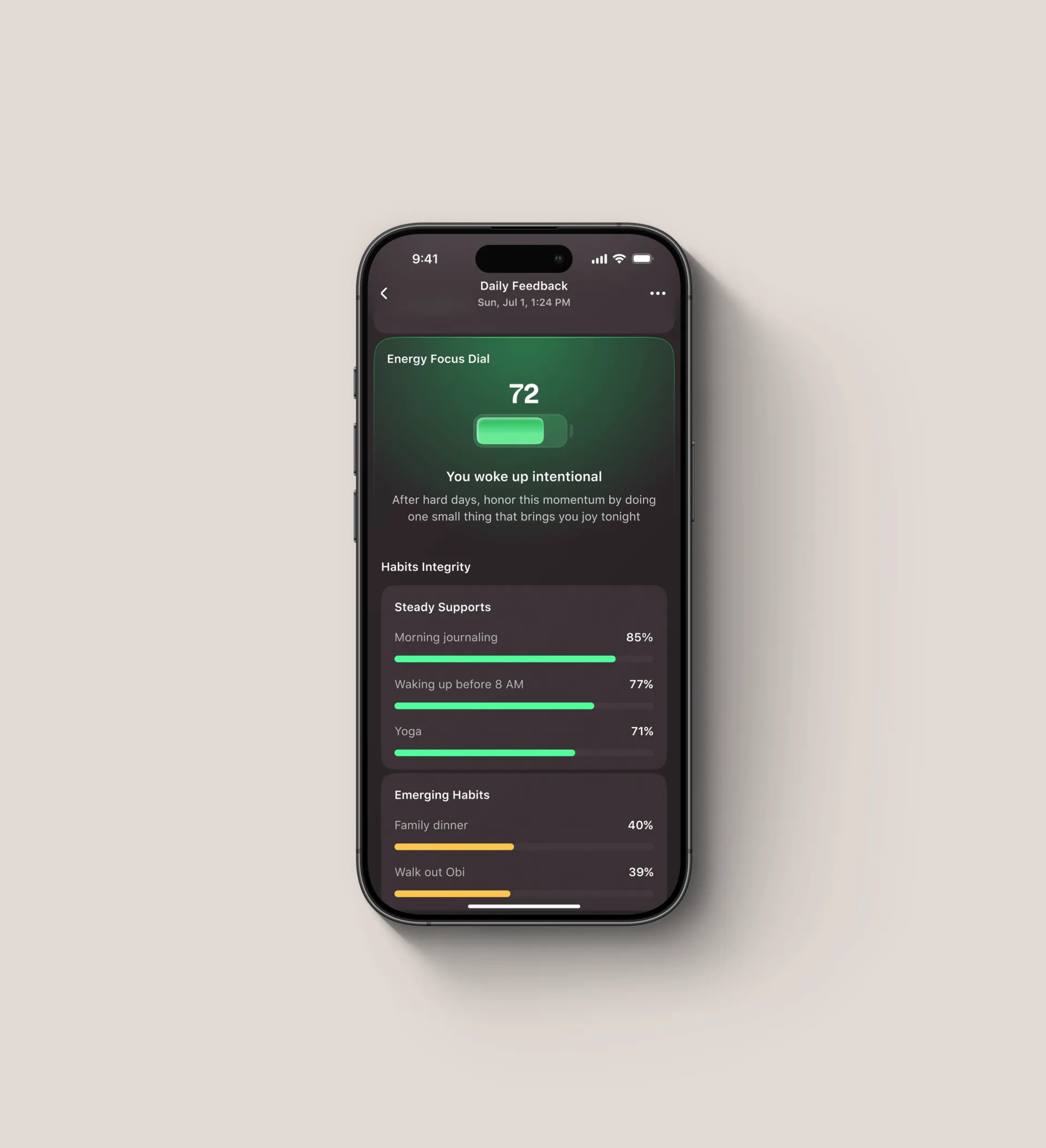 Goodly energy dial and habit-tracking bars in the daily feedback flow