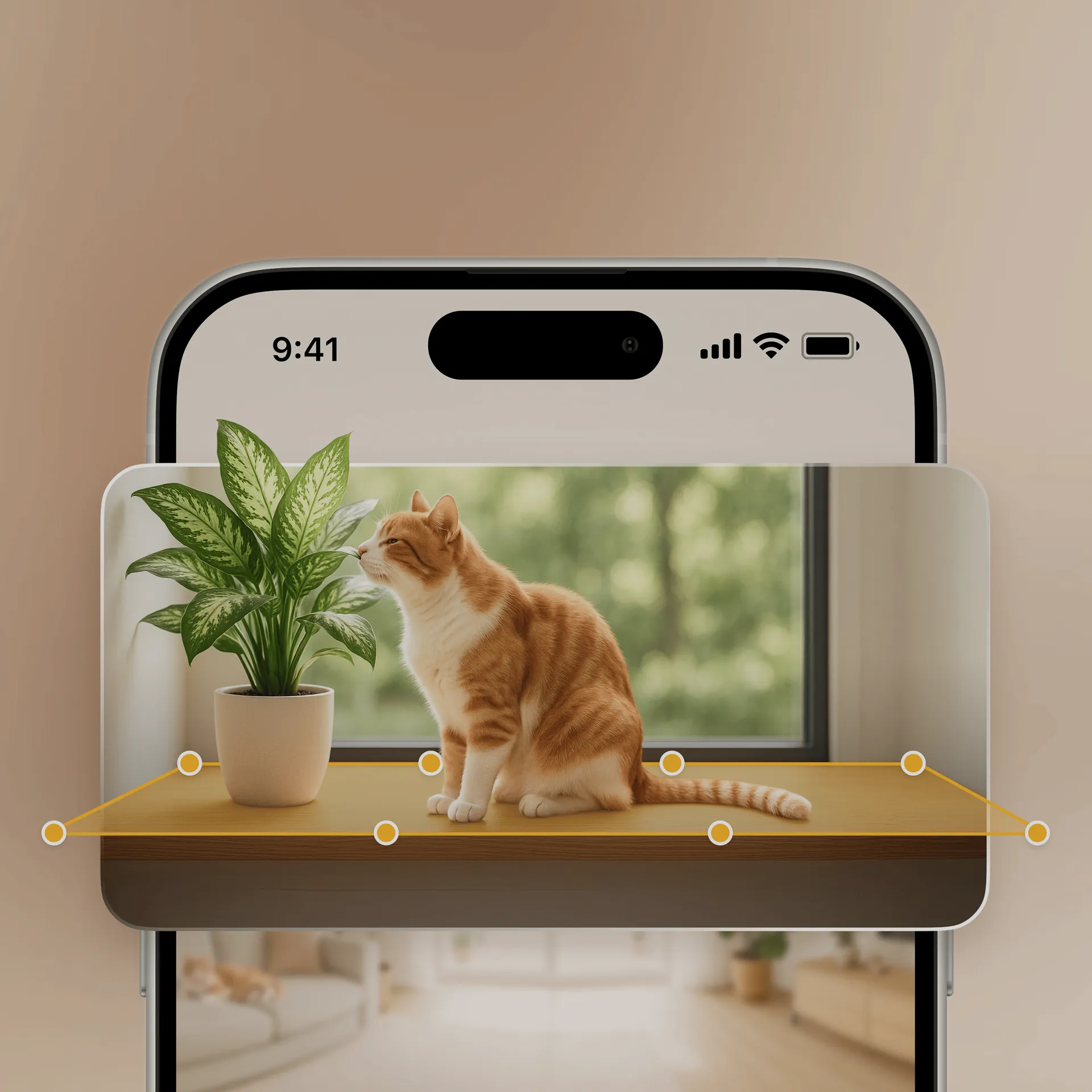 Phone showing a camera feed of a cat, with motion zones highlighted