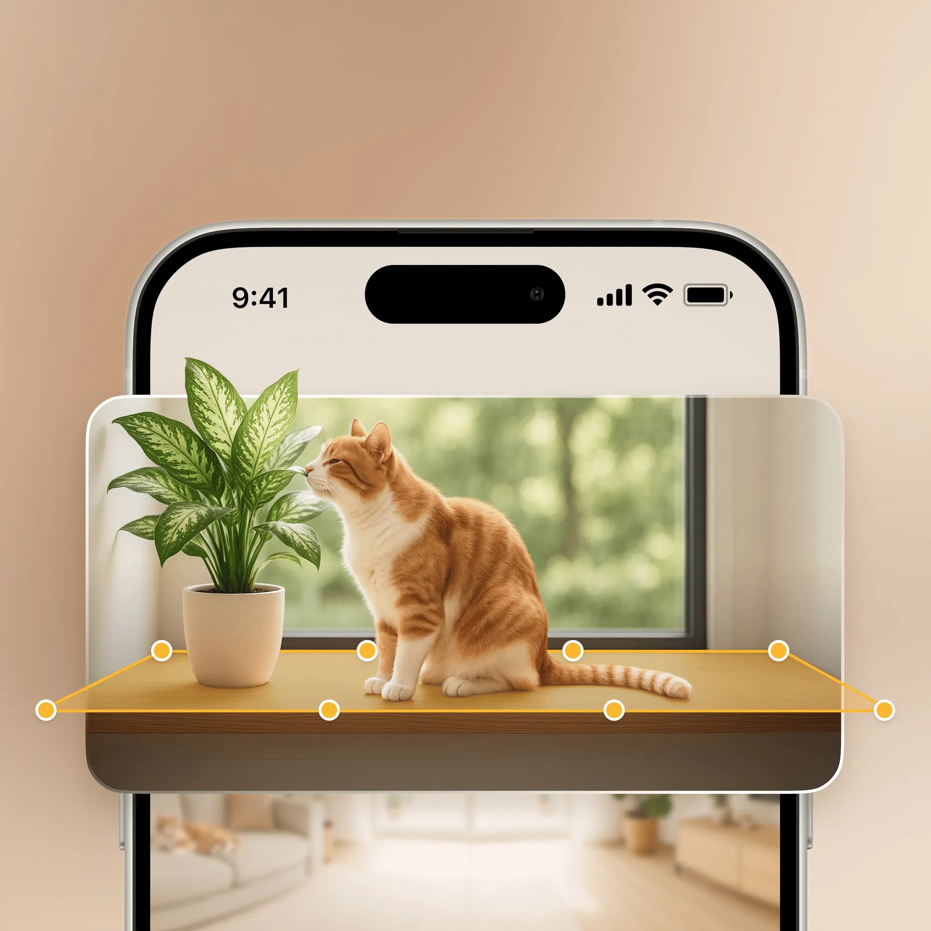 Phone showing a camera feed of a cat, with motion zones highlighted